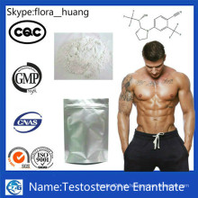 99% Purity Raw Steroid Hormone Powder Enxertição de testosterona